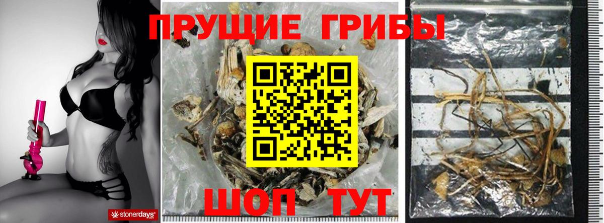 Галлюциногенные грибы мицелий Кондопога