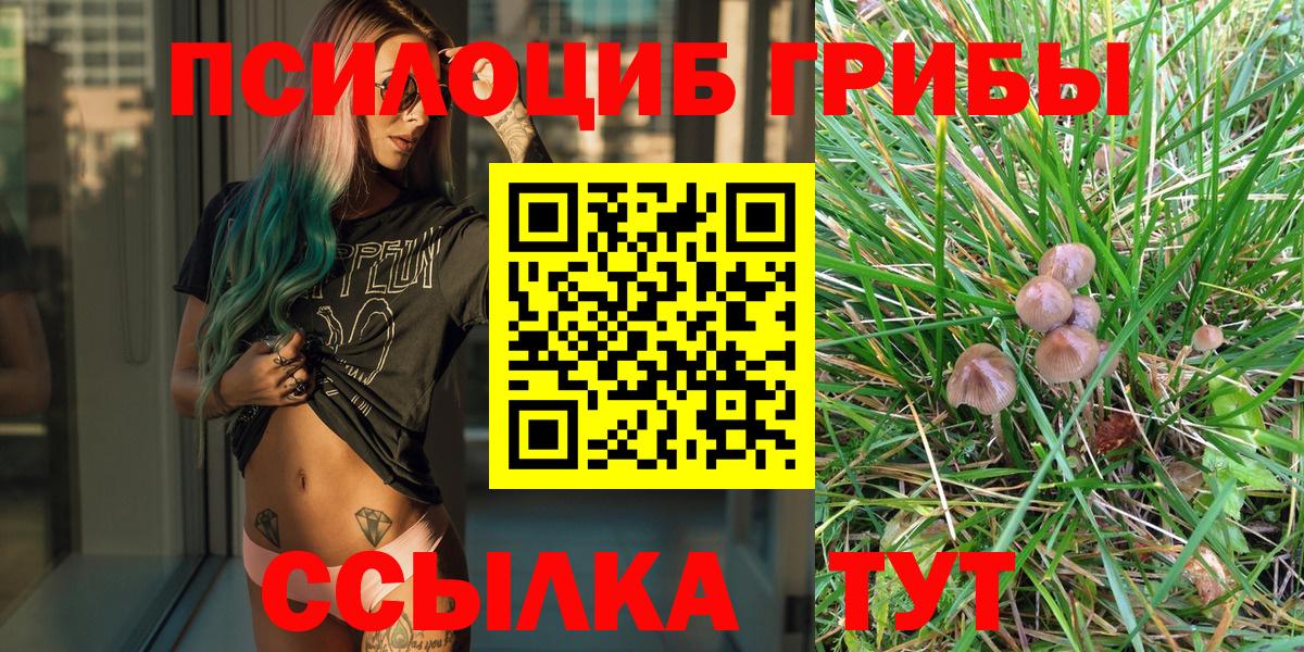 Кондопога  Галлюциногенные грибы мухоморы  купить  сайты  Вход с VPN  Псилоцибиновые грибы прущие грибы 